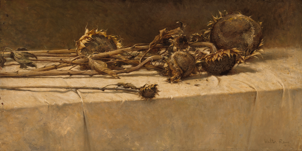 Dried Sunflowers